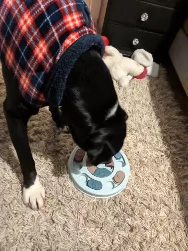 New Interactive Toy IQ Training Pets