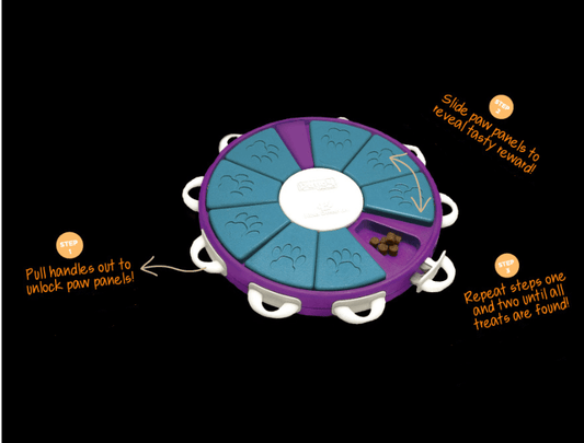 Interactive Canine Learning Set