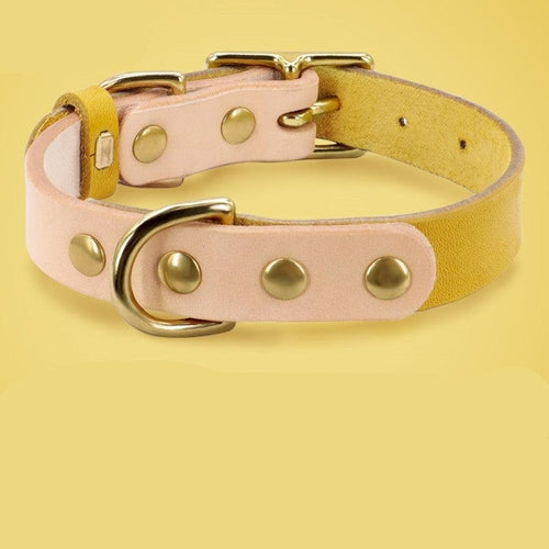 Luxury Leather Cat Collar With Customizable Engraved Plate - Vibrant