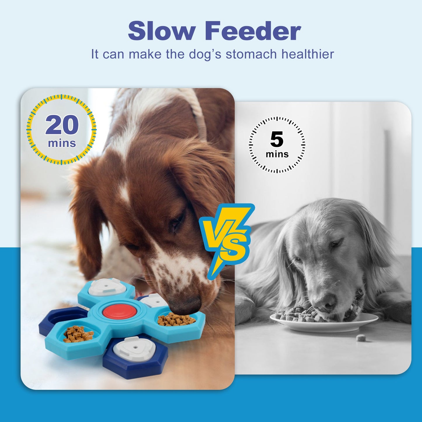 4 Layers Slow Feeder Puzzle Dog Bowls Assemble Slow Eating Bowl For