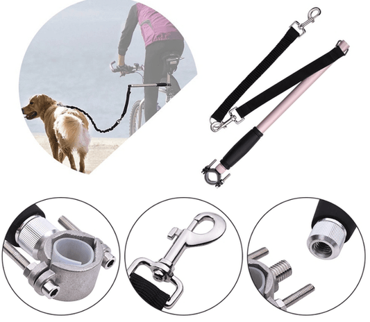 Ultimate Hands-Free Dog Walking Solution