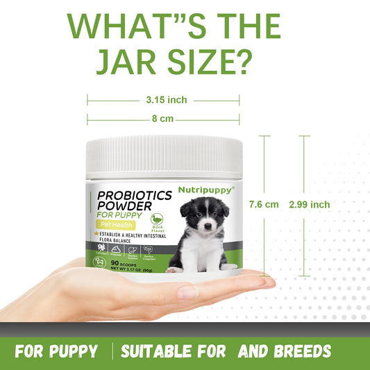 Dog Probiotic Powder Supplement