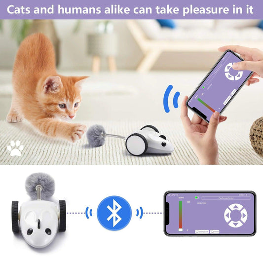 Electric Whisker Wonderland Cat Toy