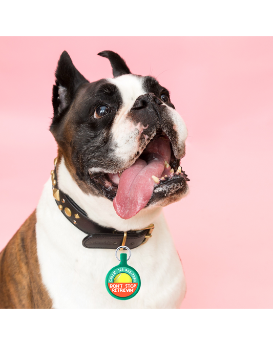 Pet ID Portable Tag