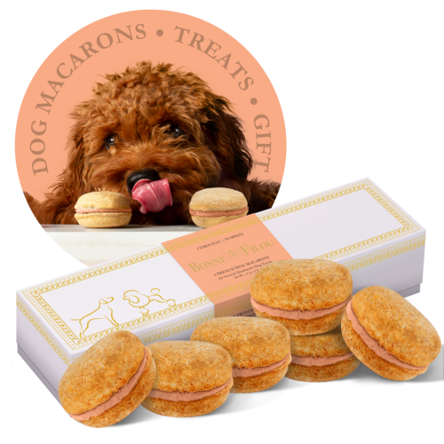 Dog Macarons - Box of 6