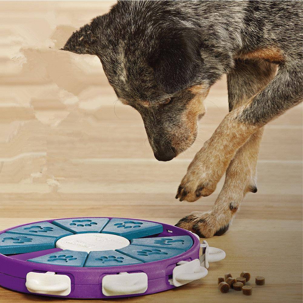 Learning Paws Interactive Canine Learning Set β Happy Paws Marketplace