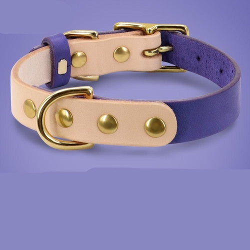 Luxury Leather Cat Collar With Customizable Engraved Plate - Vibrant