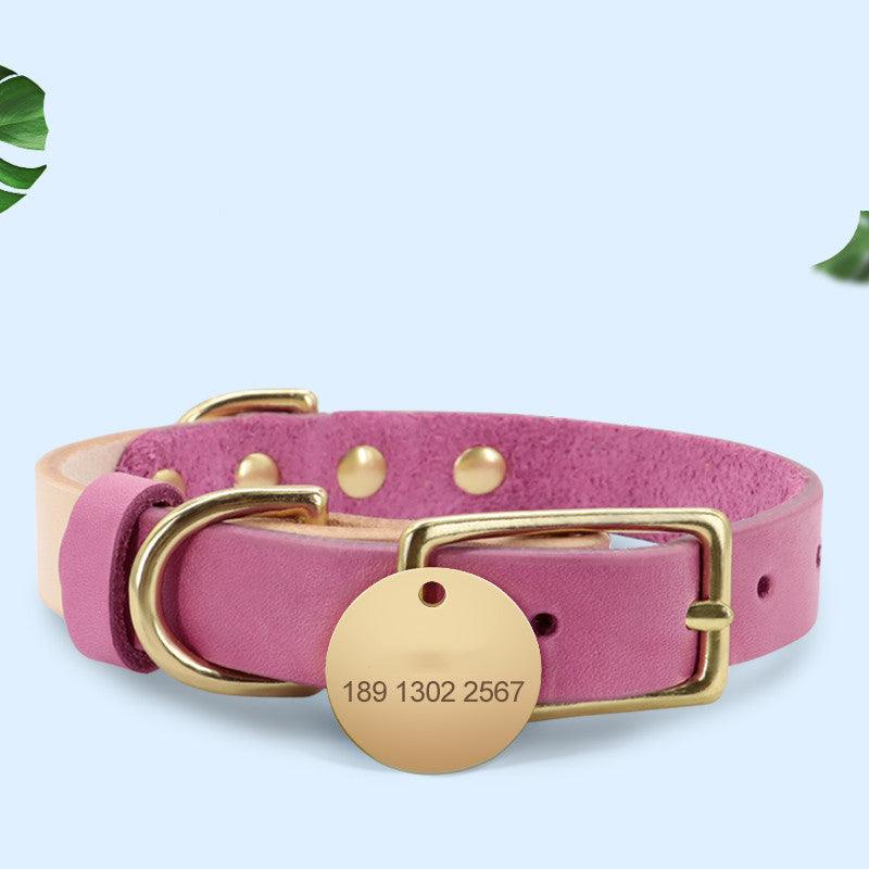 Luxury Leather Cat Collar With Customizable Engraved Plate - Vibrant