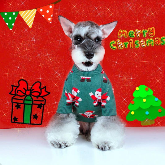 Schnauzer Teddy Winter Christmas Sweater - Festive Santa Claus Green