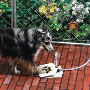 refreshing paws outdoor dog water fountain