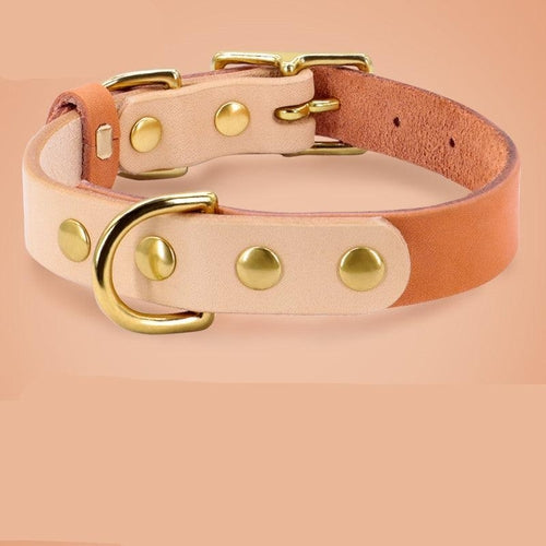 Luxury Leather Cat Collar With Customizable Engraved Plate - Vibrant