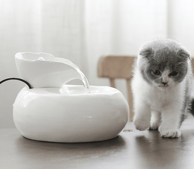 Purrfectflow Automatic Cat Water Fountain