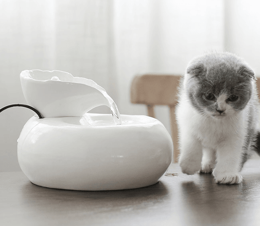 Purrfectflow Automatic Cat Water Fountain