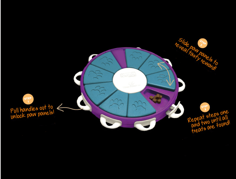 Interactive Canine Learning Set