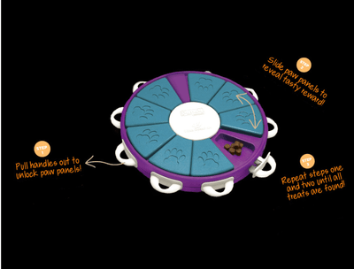Interactive Canine Learning Set