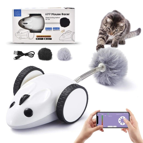 Electric Whisker Wonderland Cat Toy