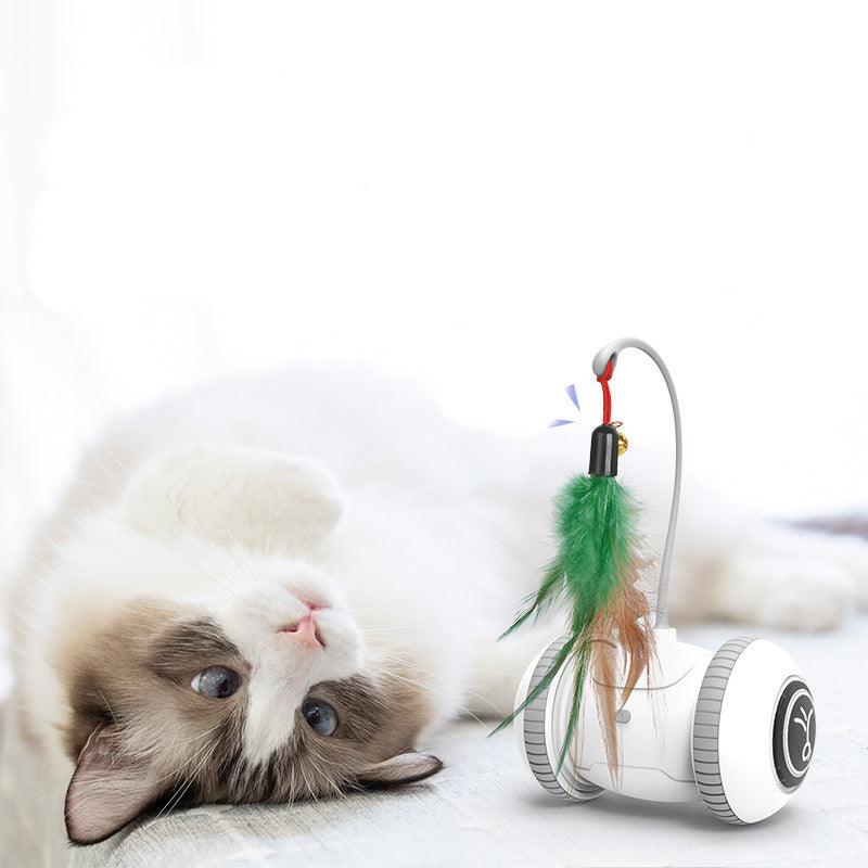 Interactive Feather Fun: Robotic Cat Toy With Interchangeable Heads