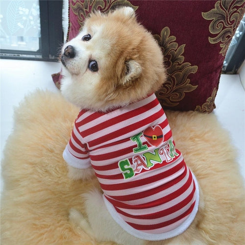 Festive Furry Border Christmas Dog Dress