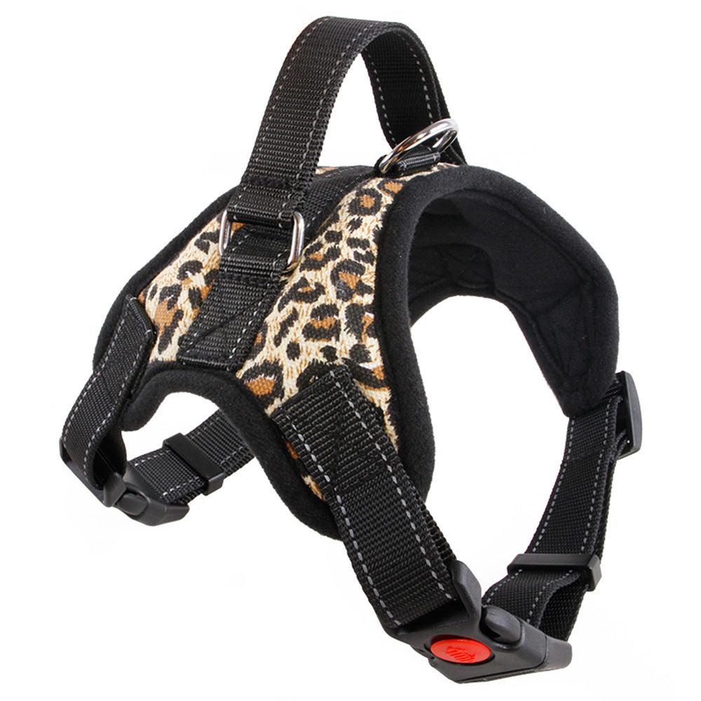 Premium Nylon Dog Collar Set