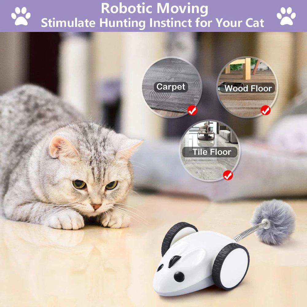 Electric Whisker Wonderland Cat Toy
