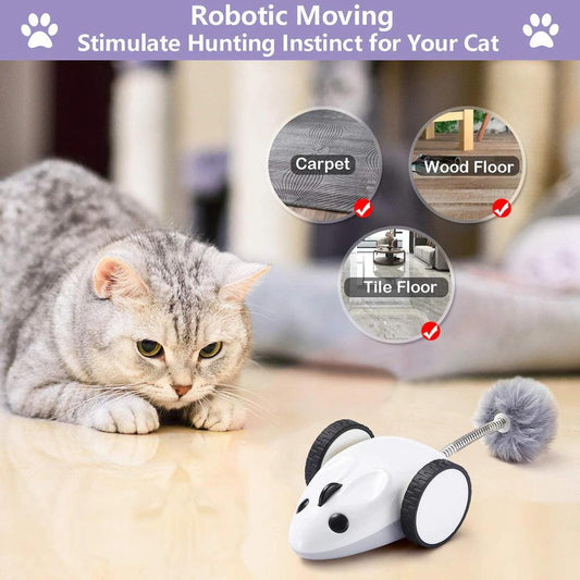 Electric Whisker Wonderland Cat Toy