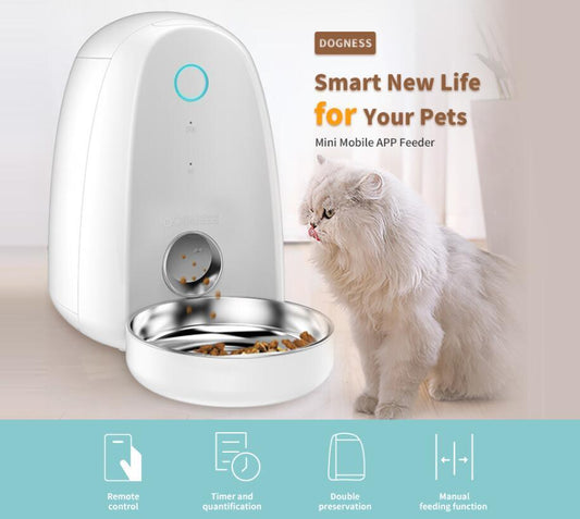 2l smartpaws automatic pet feeder
