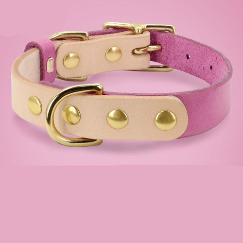 Luxury Leather Cat Collar With Customizable Engraved Plate - Vibrant