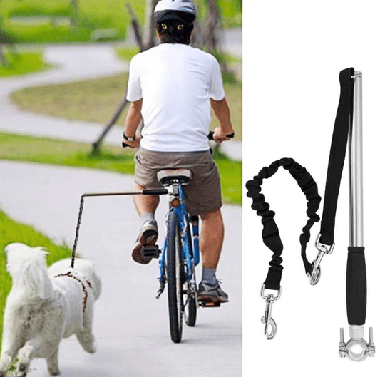 Ultimate Hands-Free Dog Walking Solution