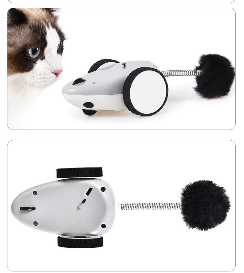 Electric Whisker Wonderland Cat Toy