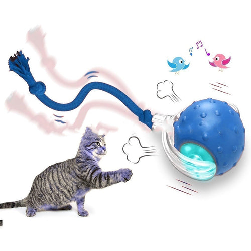 Interactive Cat Toy Ball Super Drive