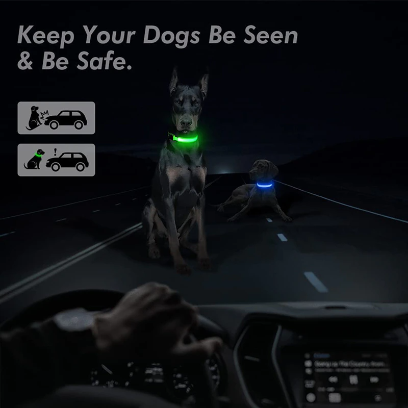 LED Adjustable Dog Collar Blinking Flashing Light Up Glow Pets Safety