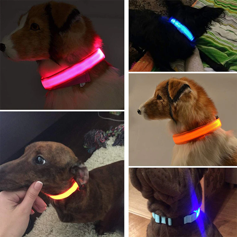 LED Adjustable Dog Collar Blinking Flashing Light Up Glow Pets Safety
