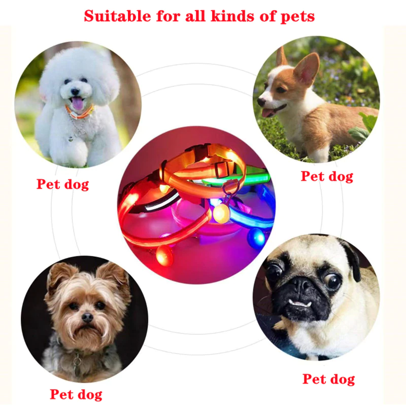 LED Adjustable Dog Collar Blinking Flashing Light Up Glow Pets Safety