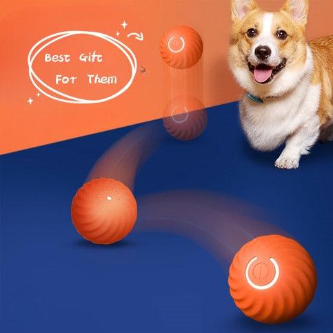 Bite-Resistant Dog Toy