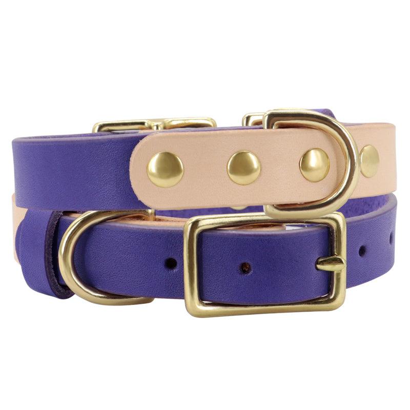 Luxury Leather Cat Collar With Customizable Engraved Plate - Vibrant
