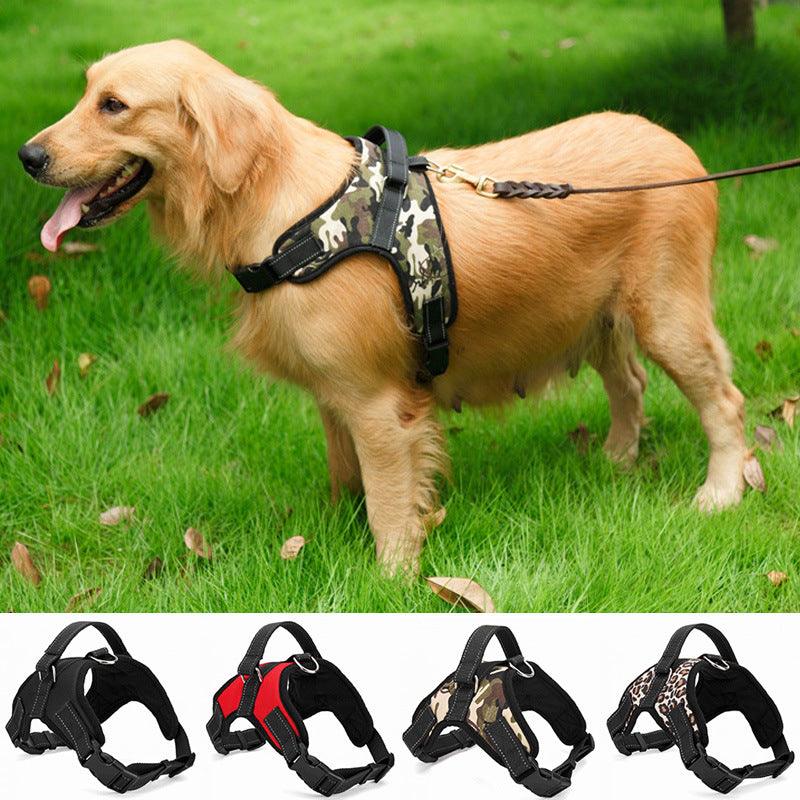 Premium Nylon Dog Collar Set