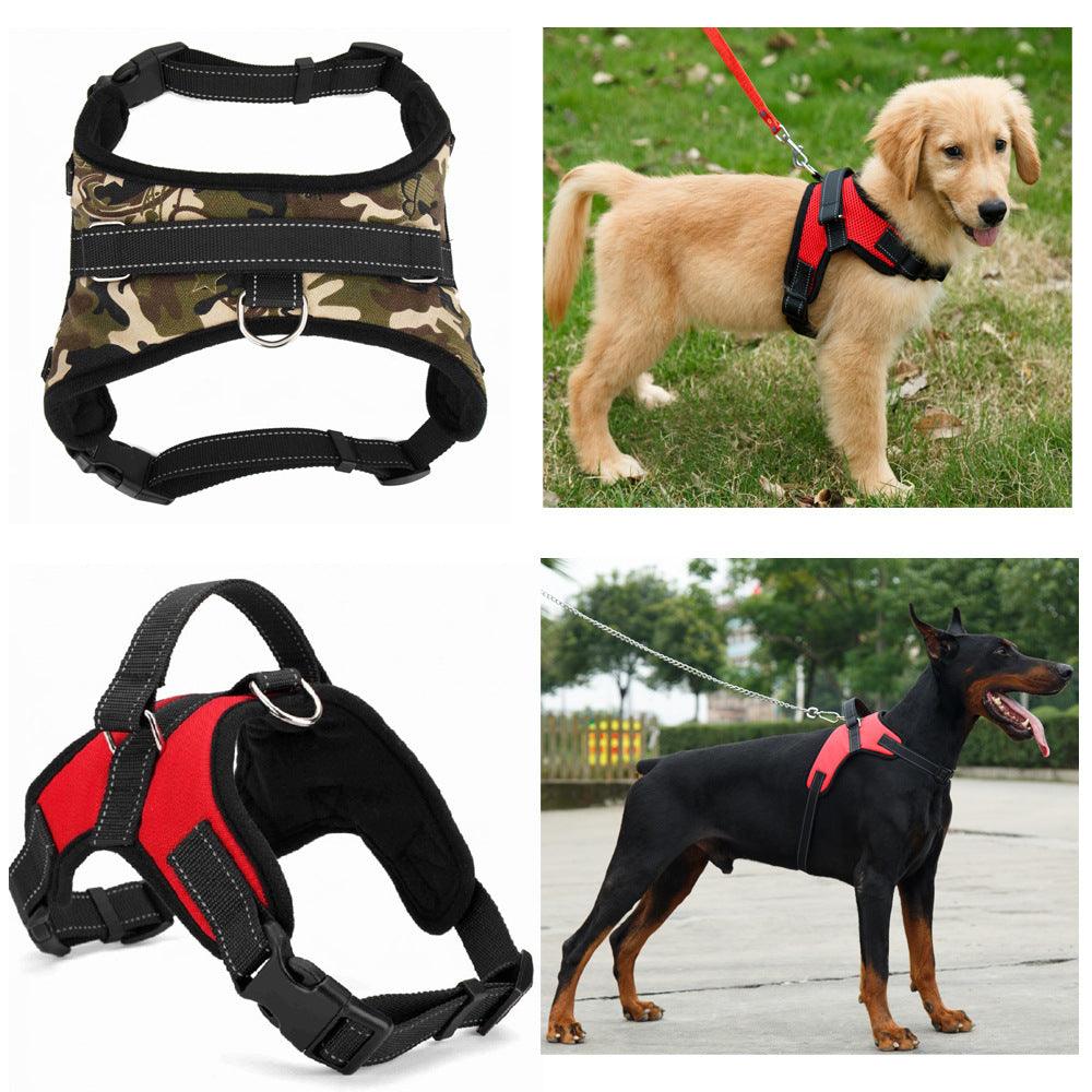 Premium Nylon Dog Collar Set
