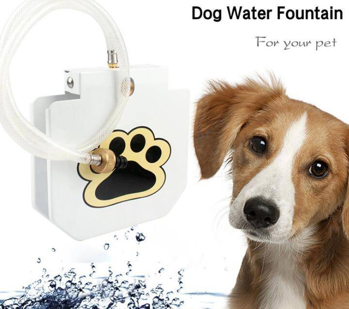 pet product