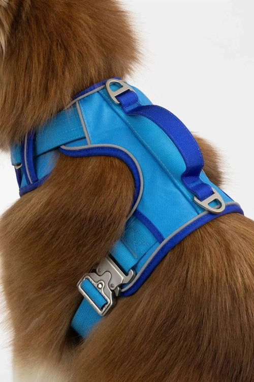 Ultimate Designer Dog Harness - Stylish and Comfortable with