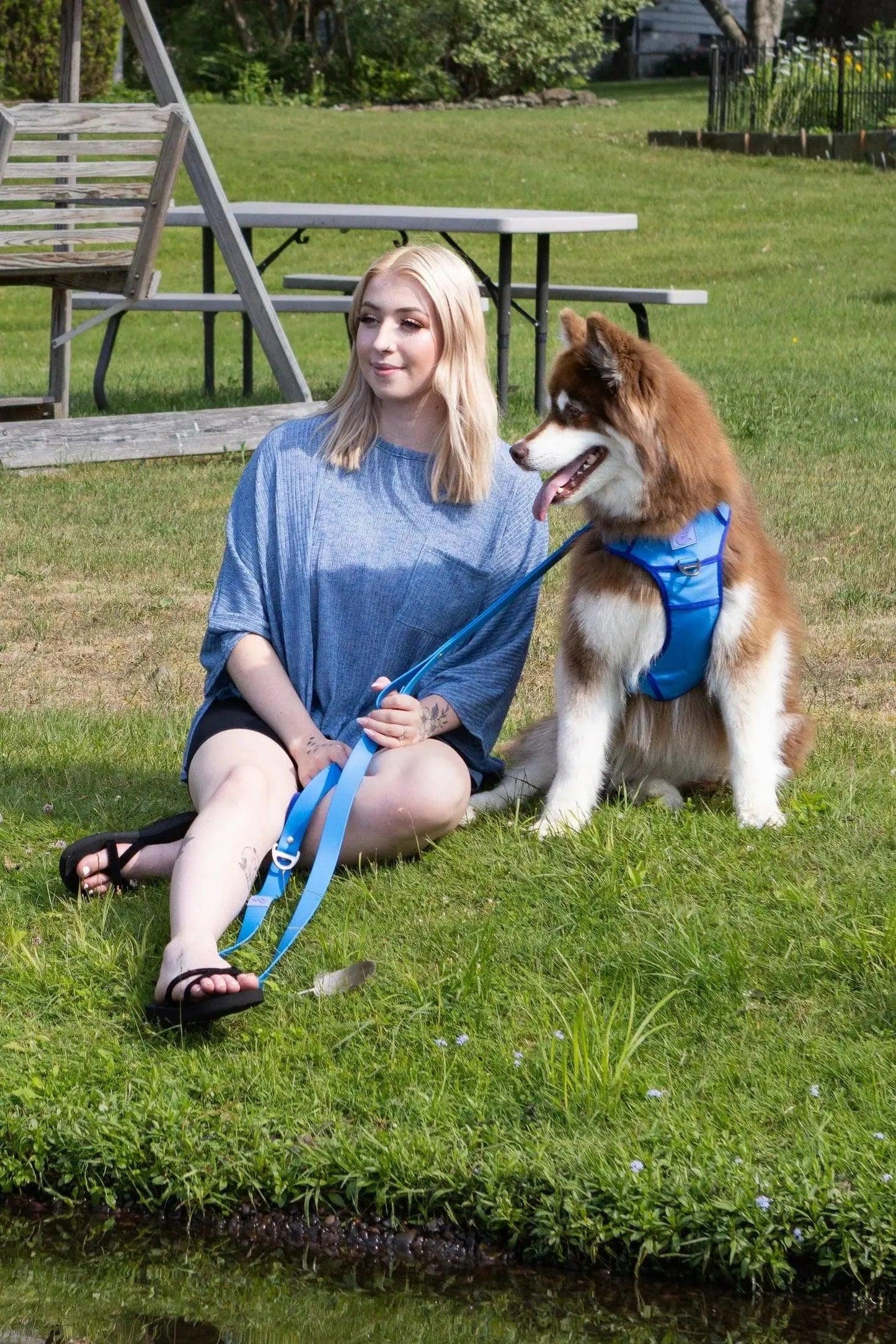 Ultimate Designer Dog Harness - Stylish and Comfortable with