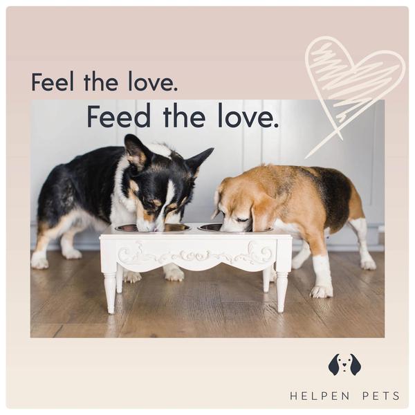 Rose Swag Elevated Pet Bowl / Feeder