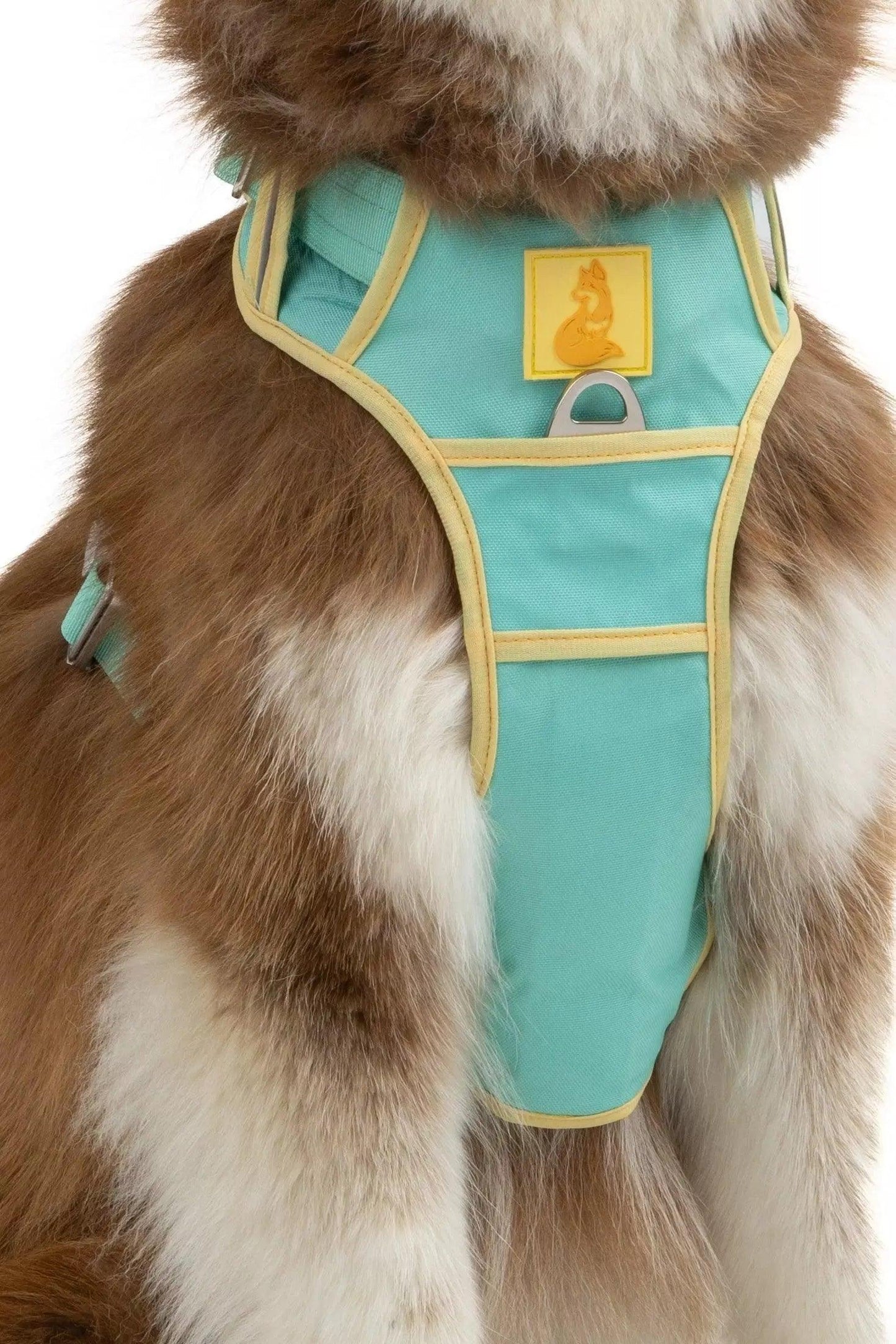 Ultimate Designer Dog Harness - Stylish and Comfortable with