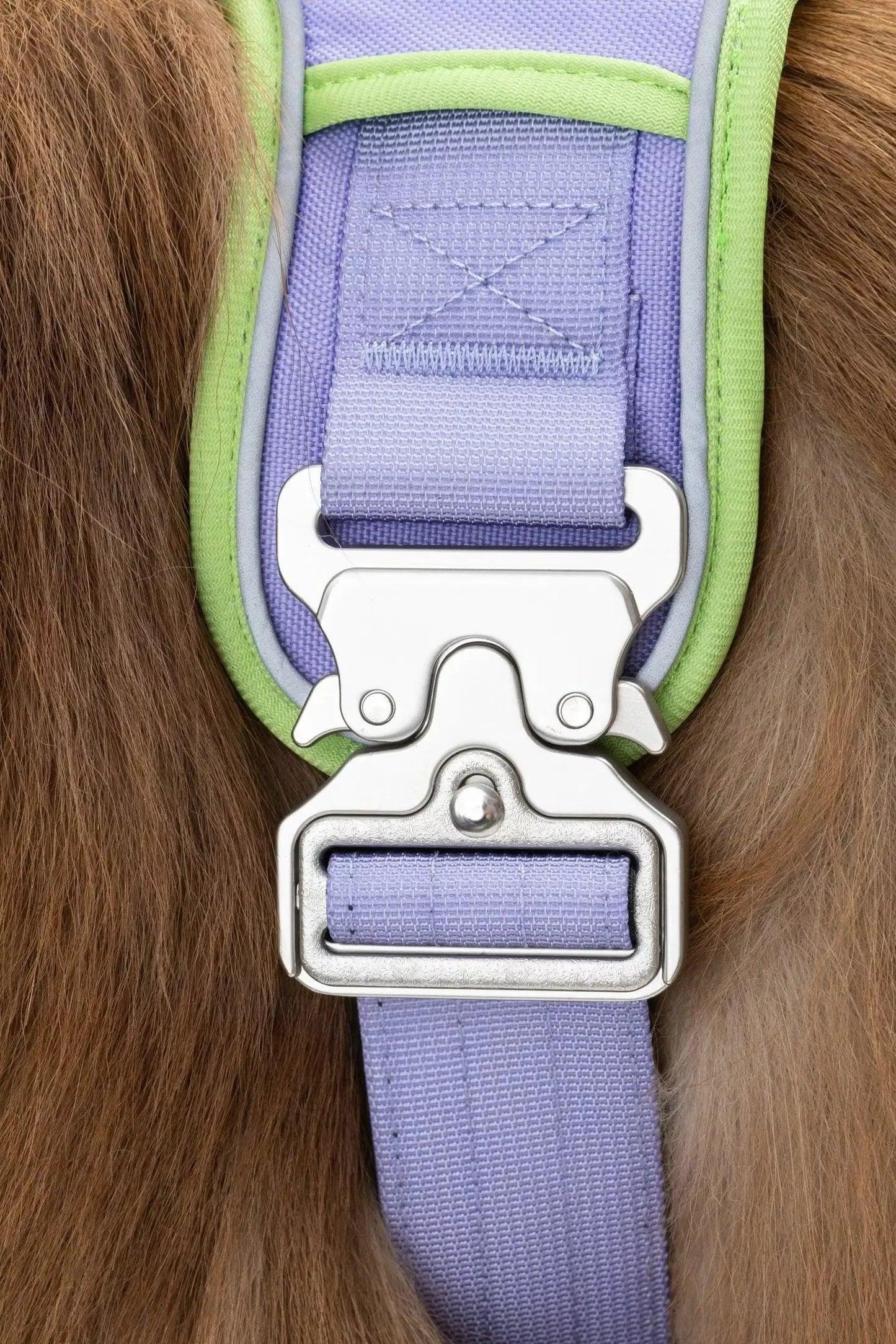Ultimate Designer Dog Harness - Stylish and Comfortable with