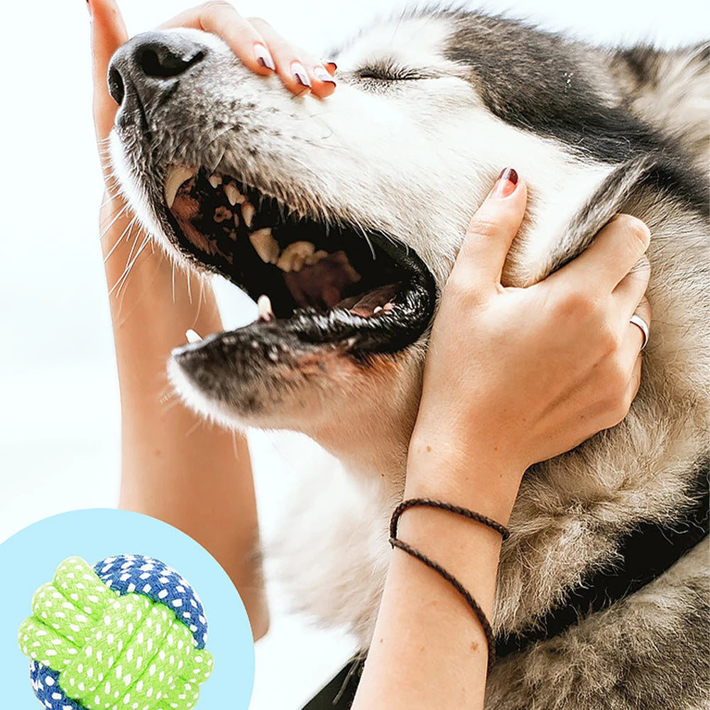 Dog Toothbrush Chew Toys