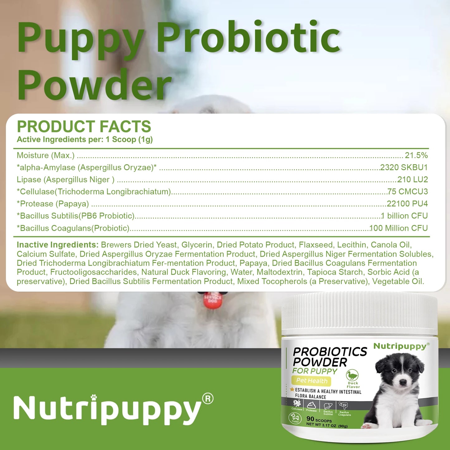 Dog Probiotic Powder Supplement