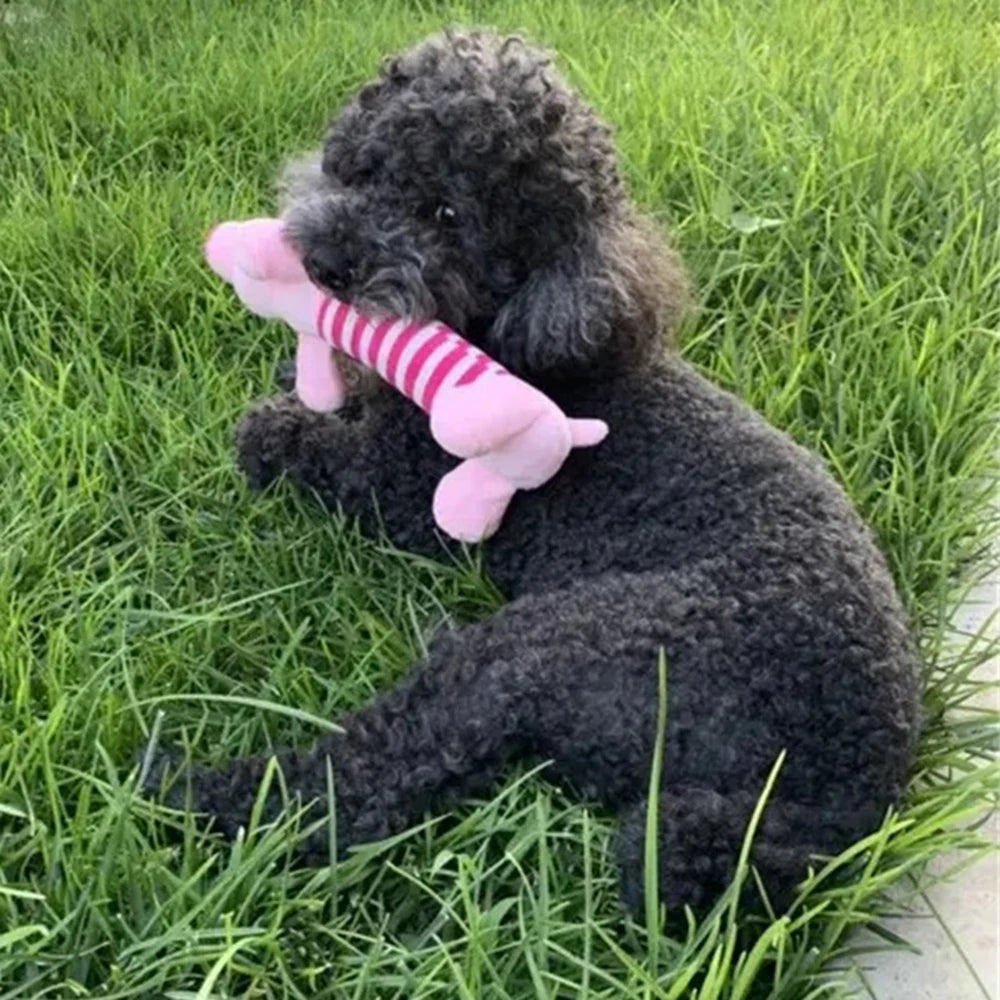 Plush Filled Pet Chew Toys for Small Dogs