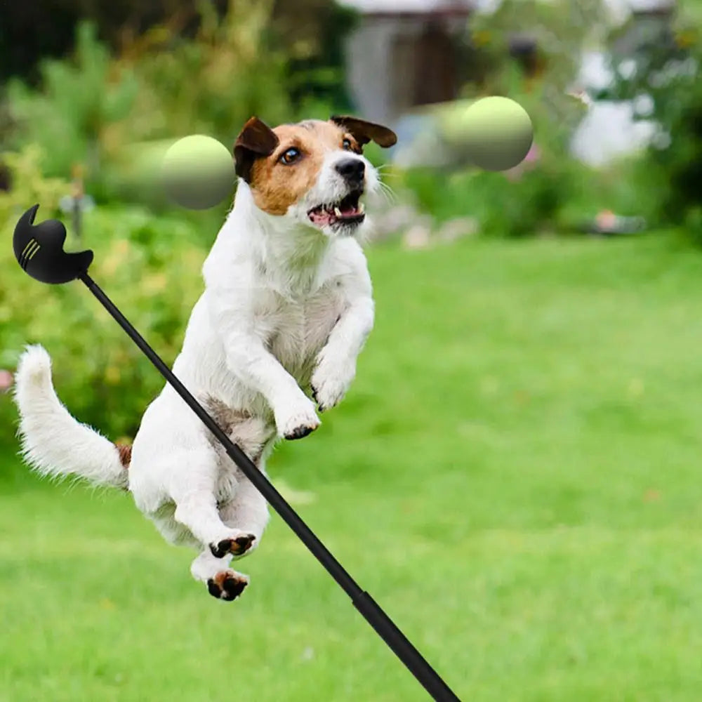Dog Toys Throwing Pole
