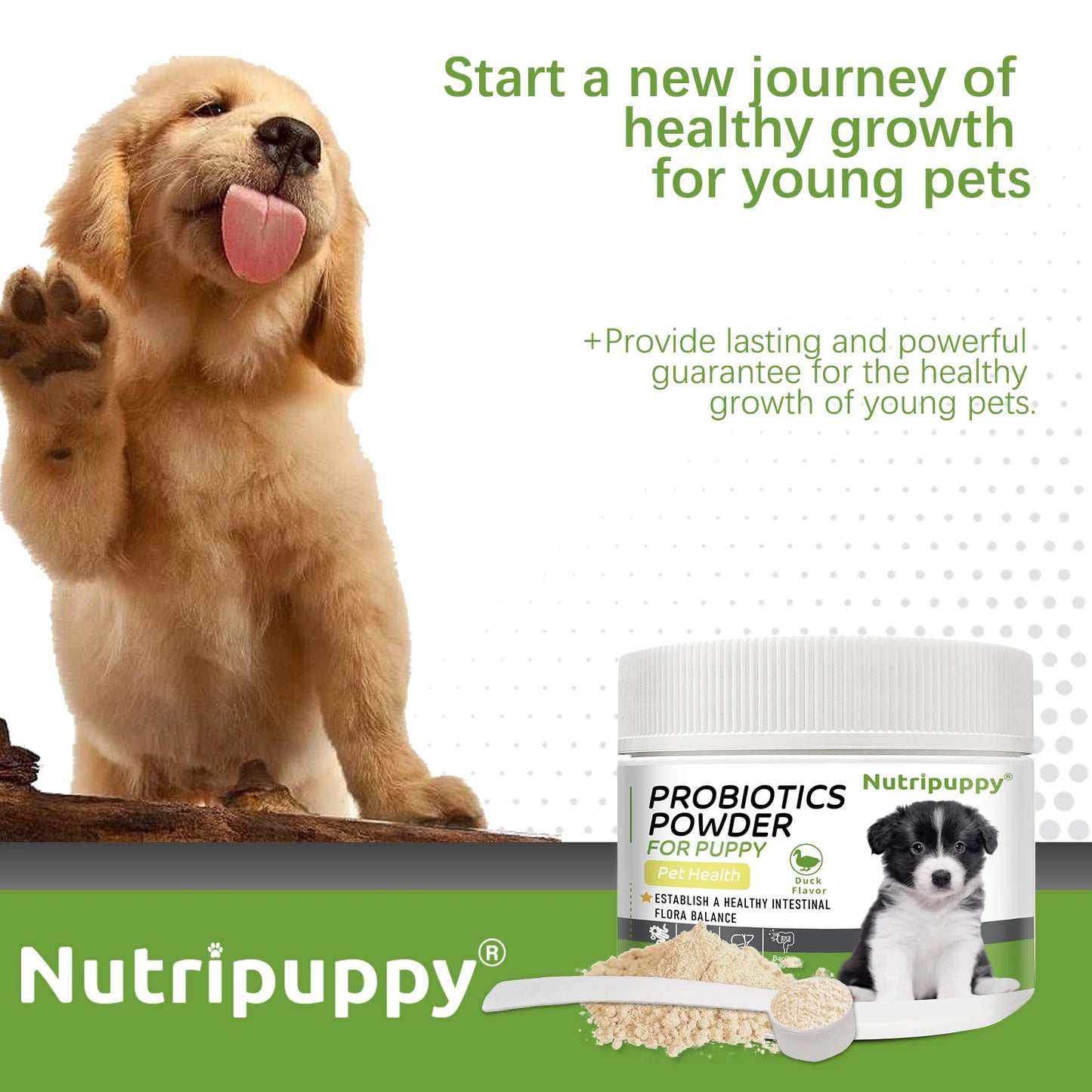 Dog Probiotic Powder Supplement