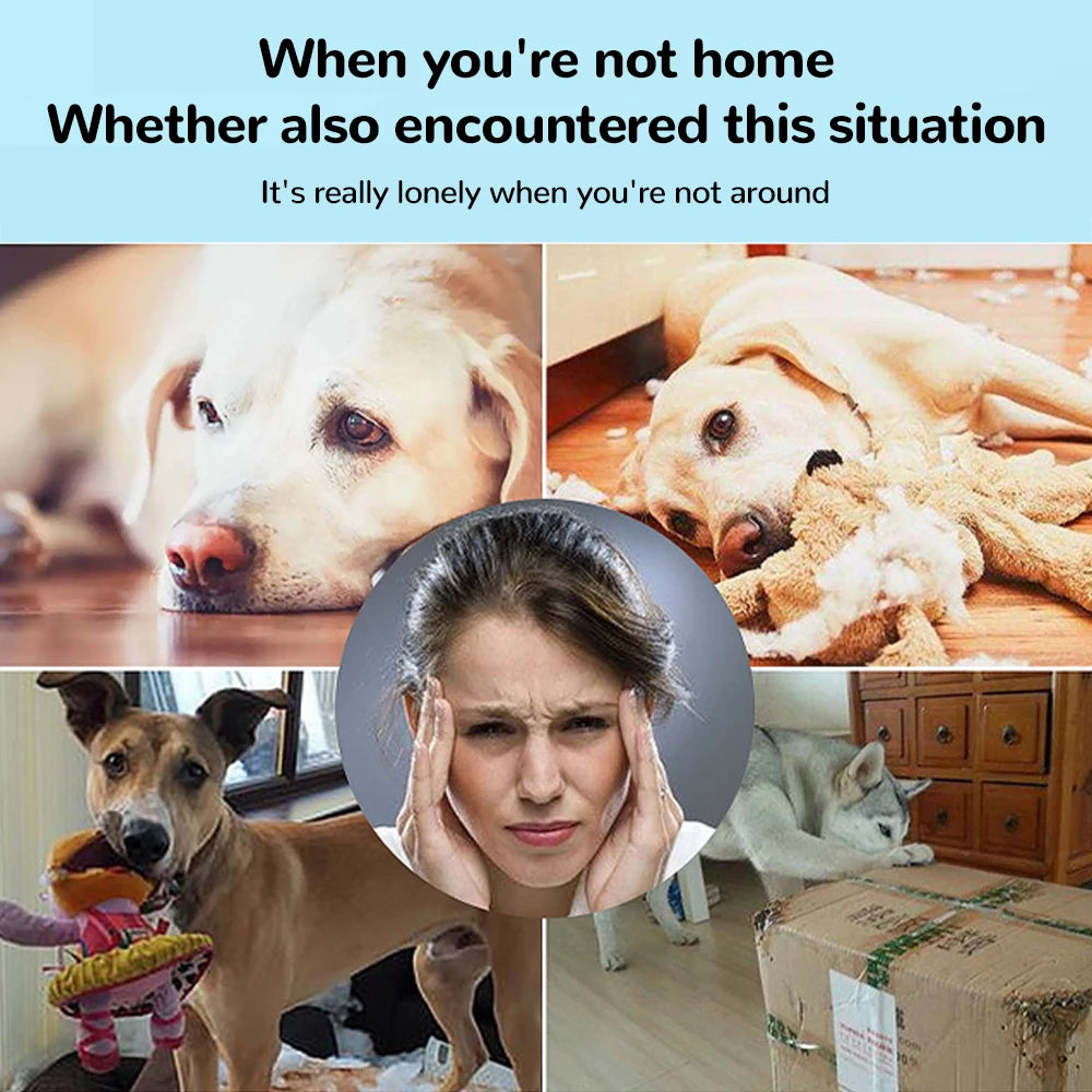 Dog Toothbrush Chew Toys