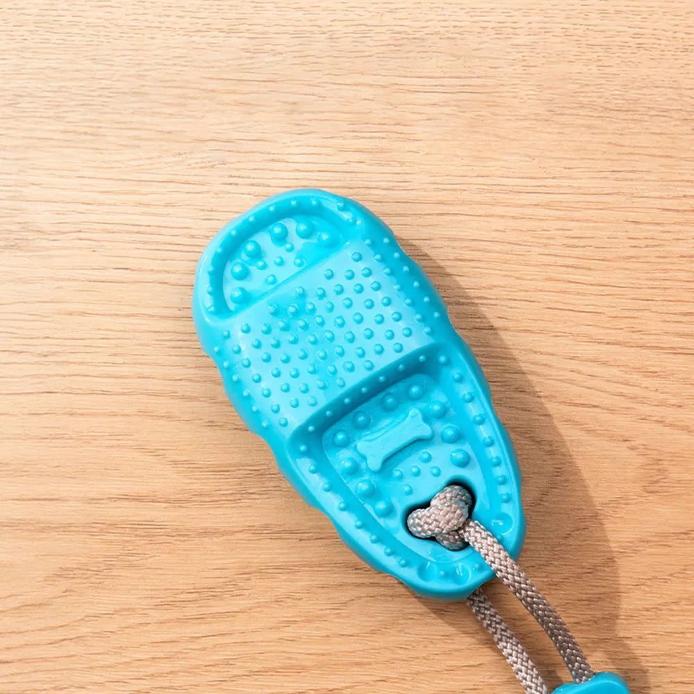 Pet Supplies: Suction Cup